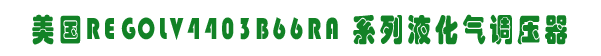  (REGO) LV4403B66RA ϵҺ{