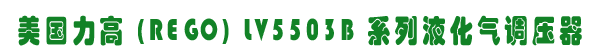  (REGO) LV5503B ϵҺ{