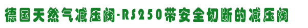 RS250ȫДbõĜpy