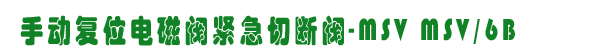 քӏλ늴yoДy-MSV MSV/6B
