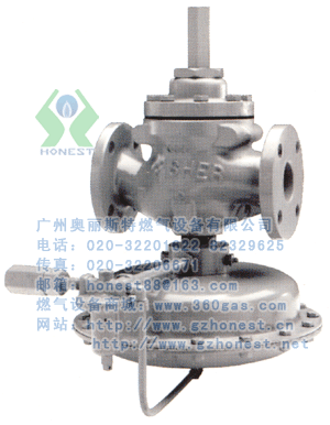 fisher1098-EGR{